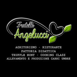 Societa' Agricola F.lli Angelucci S.r.l., Cannara orari di apertura