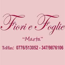 Fiori e Foglie di Palma Marta, Alvito orari di apertura