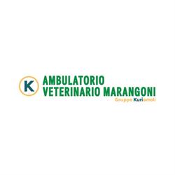 Ambulatorio Veterinario Marangoni, Rovigo orari di apertura