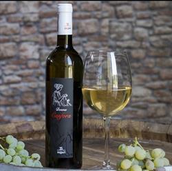 Cantine Zagari, Palmi orari di apertura