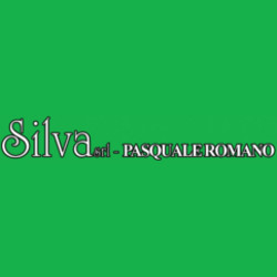 Silva Romano Pasquale, Castel di Sangro orari di apertura