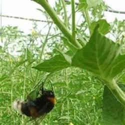 La Farmacia Agraria Soc. Coop., Eboli orari di apertura