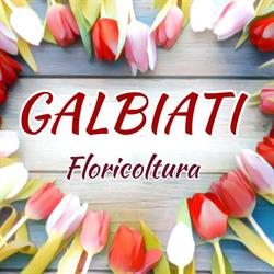 Galbiati Floricoltura Di Terenghi Valentina, Biassono orari di apertura