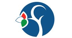 Fantasie E Colori S.R.L, Carpi orari di apertura
