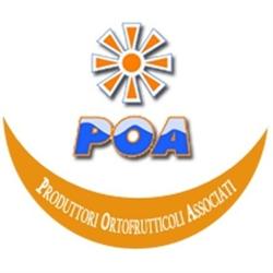 P.O.A. Società Cooperativa Agricola, Foggia orari di apertura