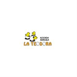 La Teodora, Voghera orari di apertura