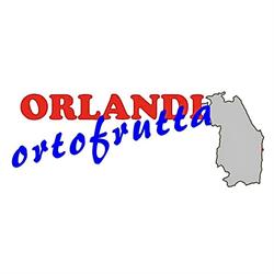 Orlandi Ortofrutta S.N.C. Dei F.Lli Orlandi Fabio,Emanuela E C., Civitanova Marche orari di apertura