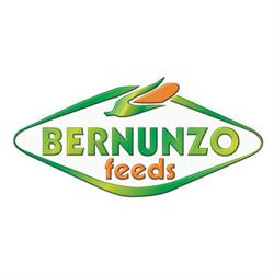 Bernunzo Mangimi, Enna orari di apertura