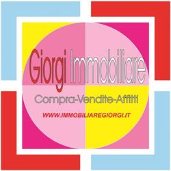 Agenzia Immobiliare Giorgi Immobiliare M.g.n. SRL, Massa orari di apertura