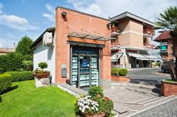 Agenzia Immobiliare Tuscolana Case, Grottaferrata orari di apertura