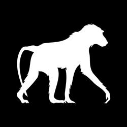 Baboon Studio Stampa Digitale, Termoli orari di apertura