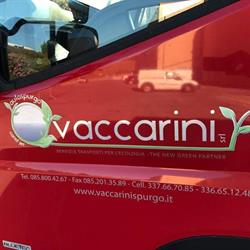 Vaccarini Srl, Giulianova orari di apertura