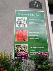 Fiori di Orio, Cles orari di apertura