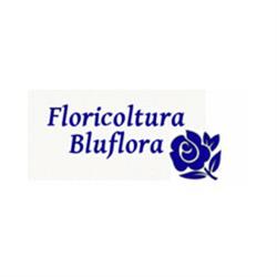 Floricoltura Bluflora, Quingentole orari di apertura