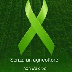 Società Semplice Az. Agricola Facchino, Foggia orari di apertura