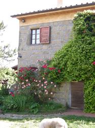 Solidor Azienda Agricola Di Andi Lorenzo, Pitigliano orari di apertura