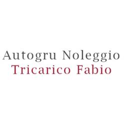 Autogru Noleggio Tricarico Fabio, Tribiano orari di apertura