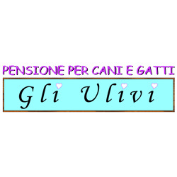 Pensione per Cani e Gatti Gli Ulivi, Chiusavecchia orari di apertura