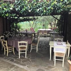 Grani Di Pepe Di Siri M. & A. Snc, Ortovero orari di apertura