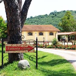 Fattoria Miani, Roma orari di apertura
