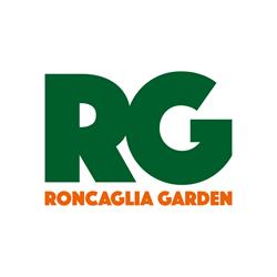 Studio Roncaglia, Roma orari di apertura