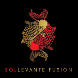 Sol Levante Fusion, Torino orari di apertura