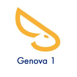 Solo Affitti Genova 1, orari di apertura