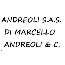 Andreoli S.a.s. di Marcello Andreoli & C., Reggio Emilia orari di apertura