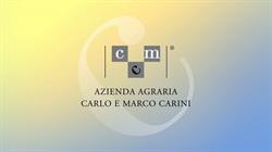 Azienda Agricola Carlo E Marco Carini, Perugia orari di apertura