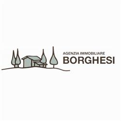 Agenzia Immobiliare Borghesi di Borghesi Denise sas, Ravenna orari di apertura