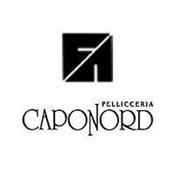 Pellicceria Caponord, Pescara orari di apertura
