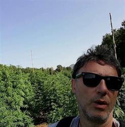 New Energy Grow, Piacenza orari di apertura