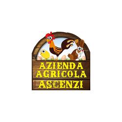 Azienda Agricola Ascenzi, Genazzano orari di apertura