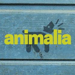 Animalia - Toelettatura Napoli- Vendita alimenti accessori-Cuccioli, orari di apertura