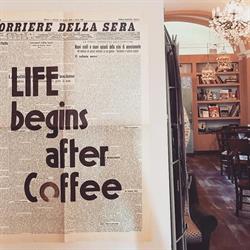 Nove100 SNC Caffe - Libri e Sangiovese, Faenza orari di apertura