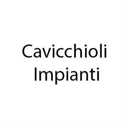 Cavicchioli Impianti S.r.l., Bagnolo San Vito orari di apertura