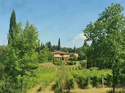 Fattoria Santa Lucia, Pontedera orari di apertura