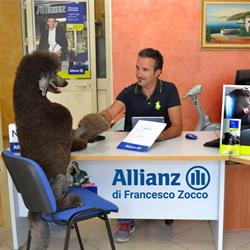 Zocco Francesco, Pozzallo orari di apertura