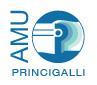 Amu Princigalli SRL, Brivio orari di apertura