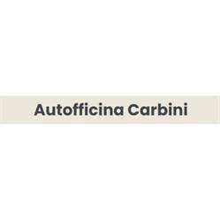 Autofficina Carbini, Badesi orari di apertura