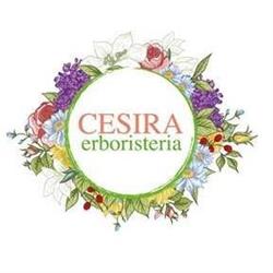 Erboristeria Di Zanazzi Cesira, Tradate orari di apertura