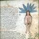 La Mandragora, Acri orari di apertura