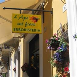 L'ape Sul Fiore, Alassio orari di apertura
