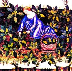 Le Mie Erbe, Scandicci orari di apertura