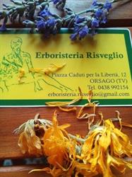 Erboristeria Risveglio, Orsago orari di apertura
