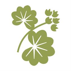 Erboristeria Alchemilla, Marina di Campo orari di apertura
