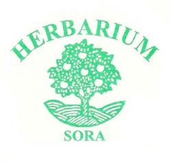 Herbarium di Paolacci Maria Gabriella, Sora orari di apertura