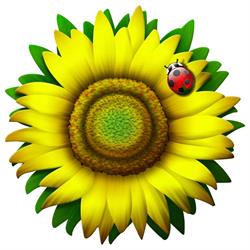 Il Girasole, Garbagnate Milanese orari di apertura
