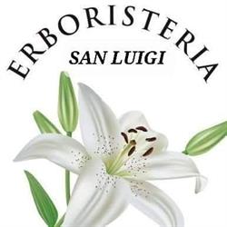 Erboristeria San Luigi, San Benedetto Po orari di apertura