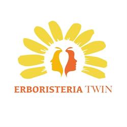 Twin, Velletri orari di apertura